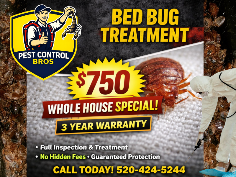 Bed Bug Treatment